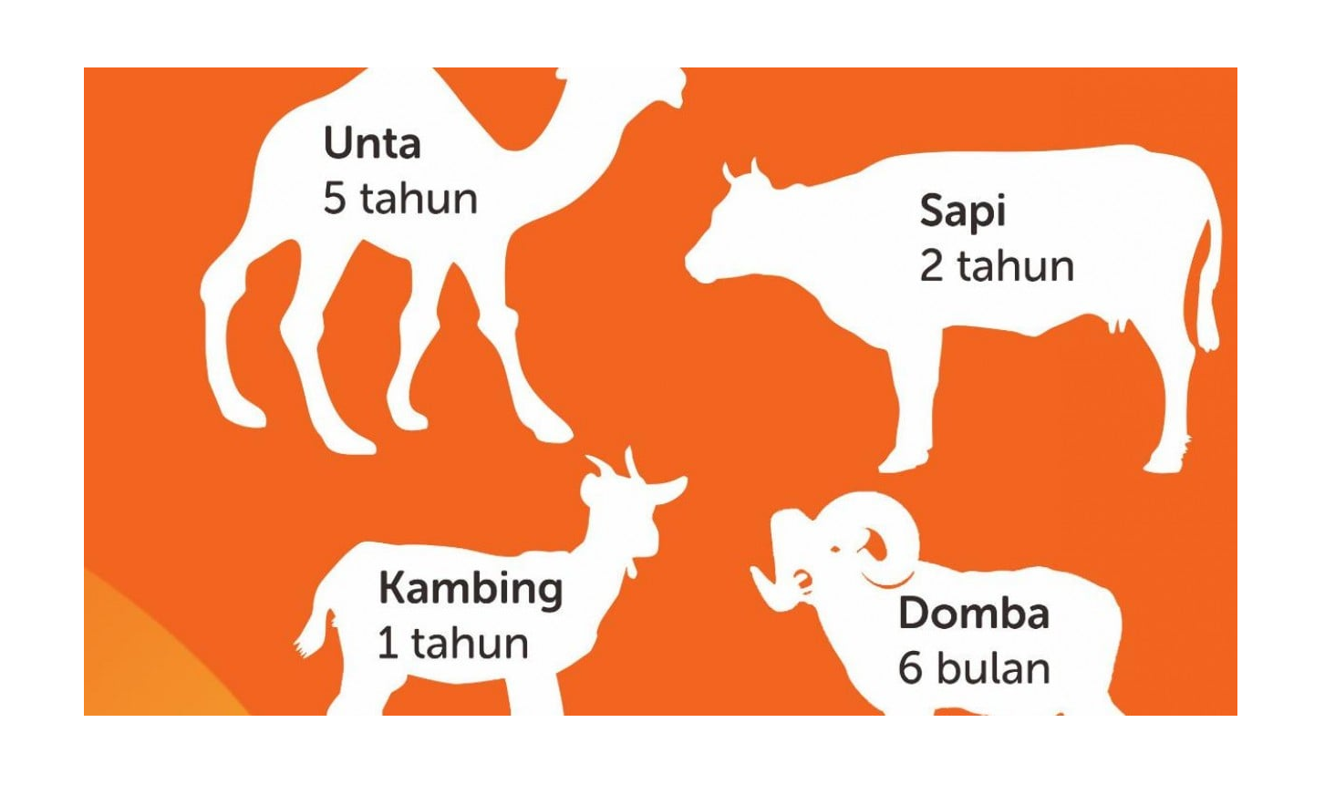 Usia Minimal Hewan Kurban Al Hidayah Id